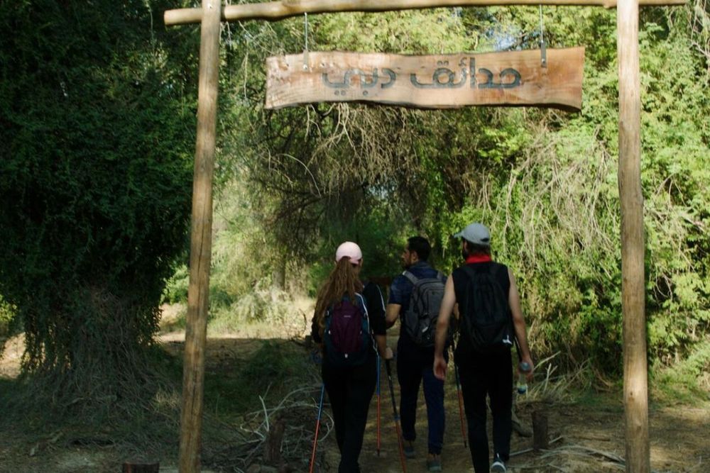  Hiking and Nature Trails in UAE 2023