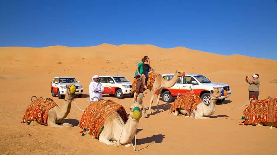 Discover top 6 Must-Visit Places in Abu Dhabi