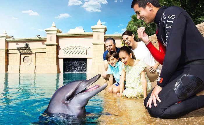 top things to do in dubai